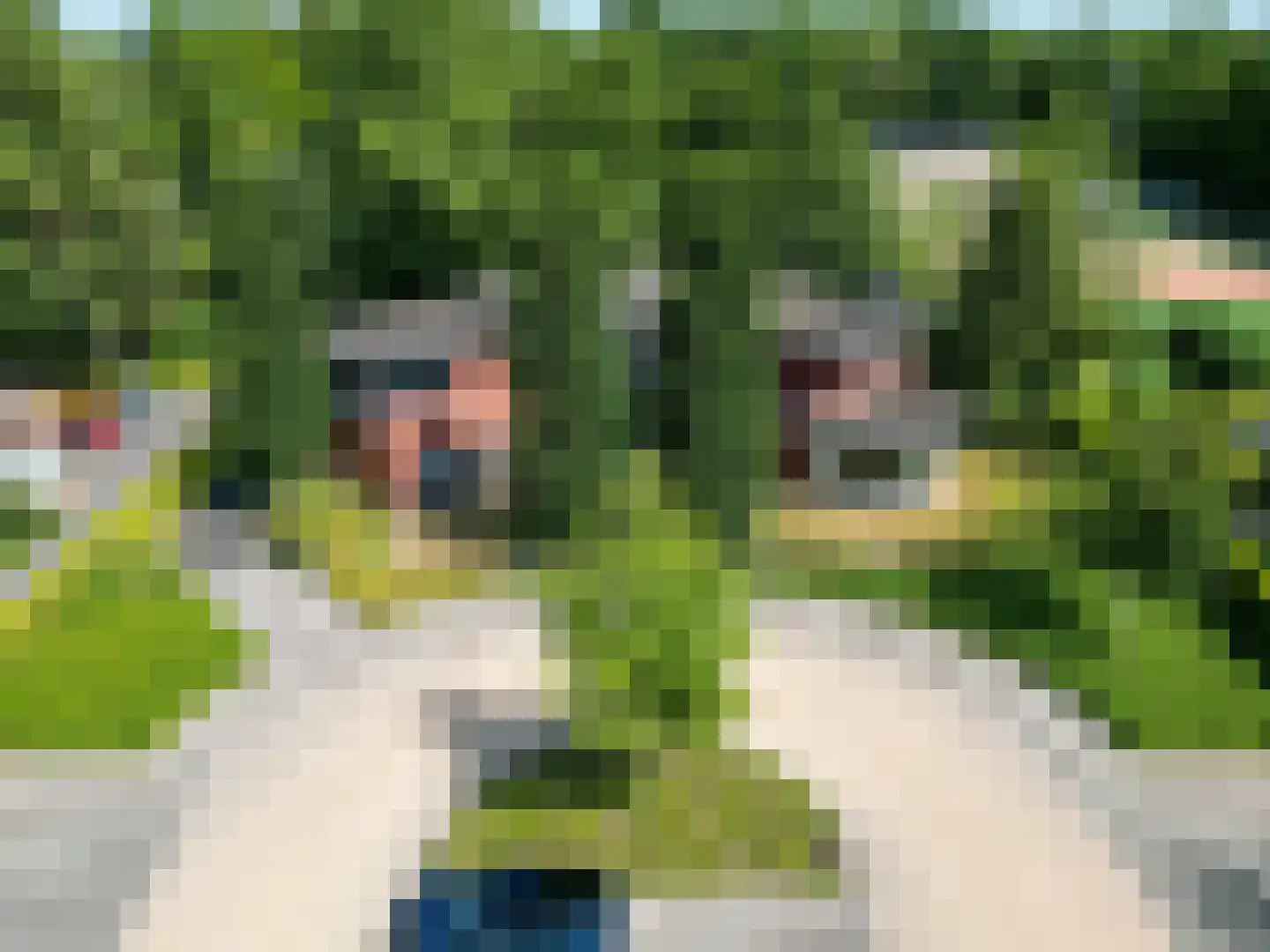 Kamperfoelielaan 3 Marum thumbnail 65