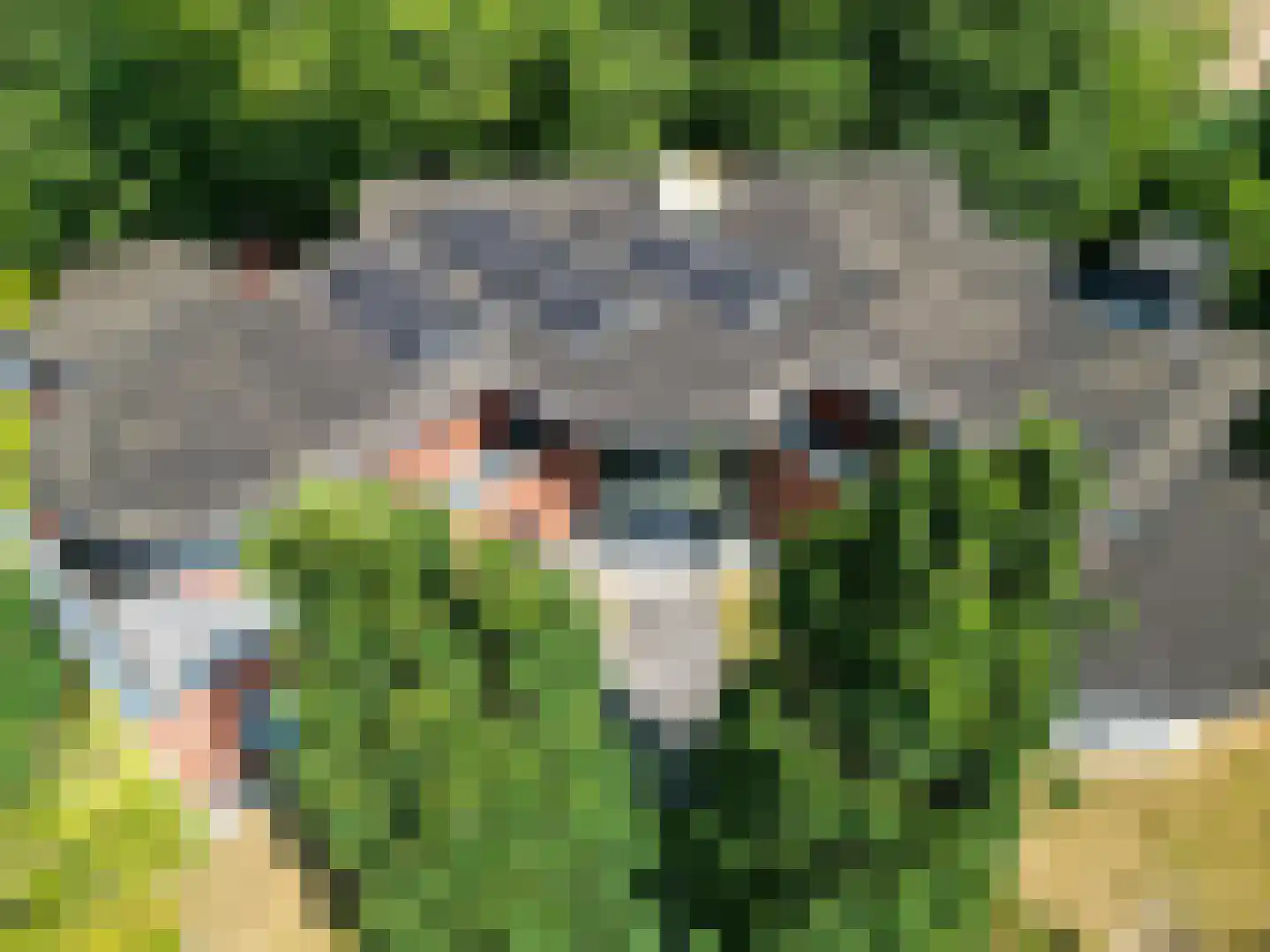 Kamperfoelielaan 3 Marum thumbnail 66