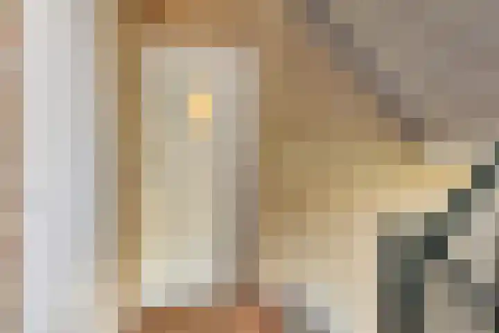Kamperfoelielaan 3 Oegstgeest thumbnail 10