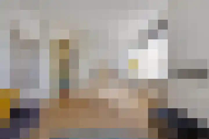 Kamperfoelielaan 3 Oegstgeest thumbnail 17