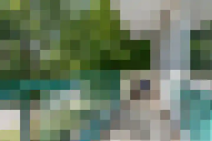 Kamperfoelielaan 3 Oegstgeest thumbnail 18