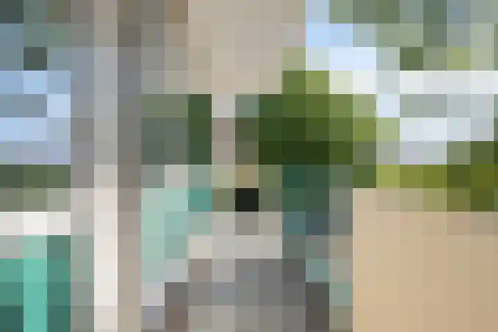 Kamperfoelielaan 3 Oegstgeest thumbnail 19