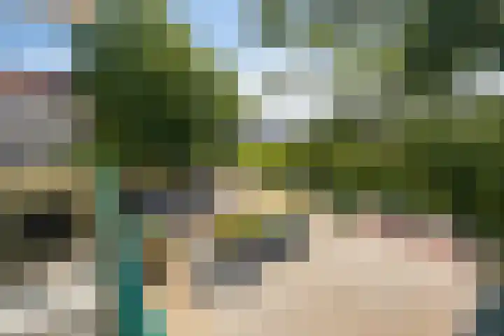 Kamperfoelielaan 3 Oegstgeest thumbnail 20
