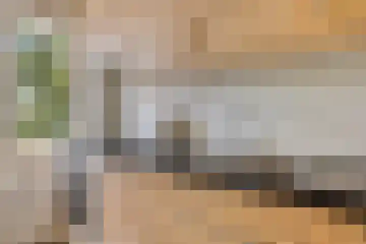 Kamperfoelielaan 3 Oegstgeest thumbnail 23