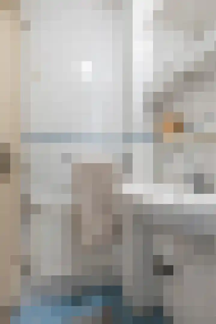 Kamperfoelielaan 3 Oegstgeest thumbnail 28