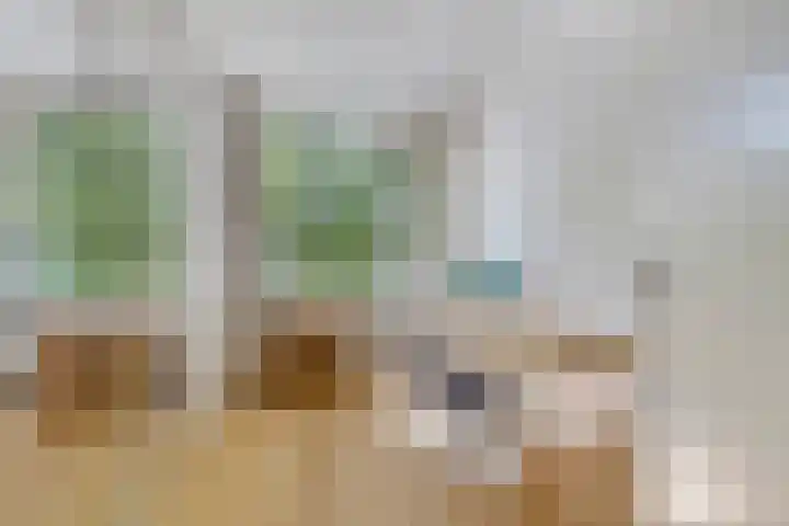 Kamperfoelielaan 3 Oegstgeest thumbnail 29