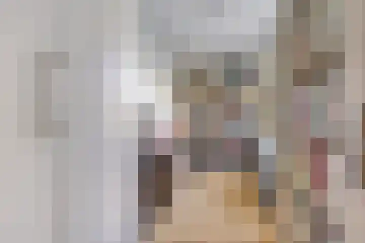 Kamperfoelielaan 3 Oegstgeest thumbnail 30