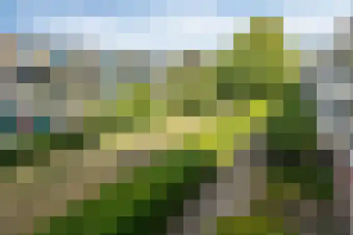 Kamperfoelielaan 3 Oegstgeest thumbnail 32