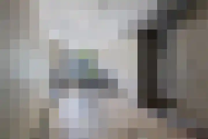 Kamperfoelielaan 3 Oegstgeest thumbnail 33