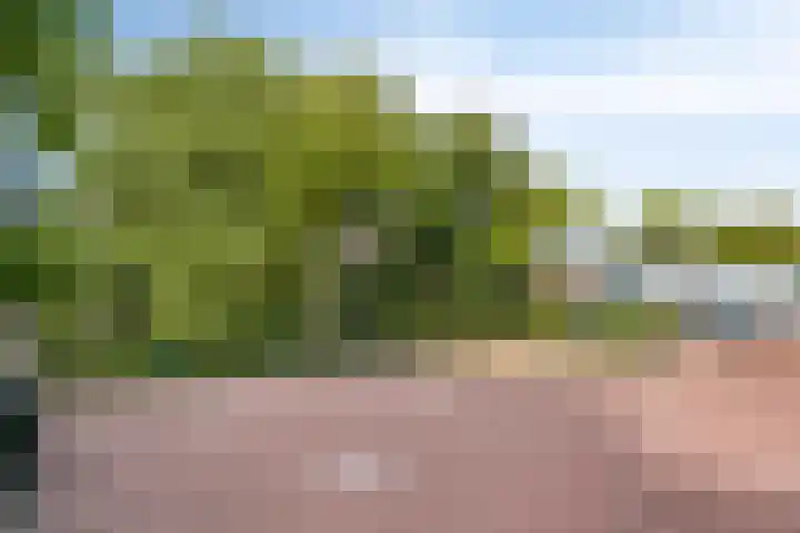 Kamperfoelielaan 3 Oegstgeest thumbnail 34