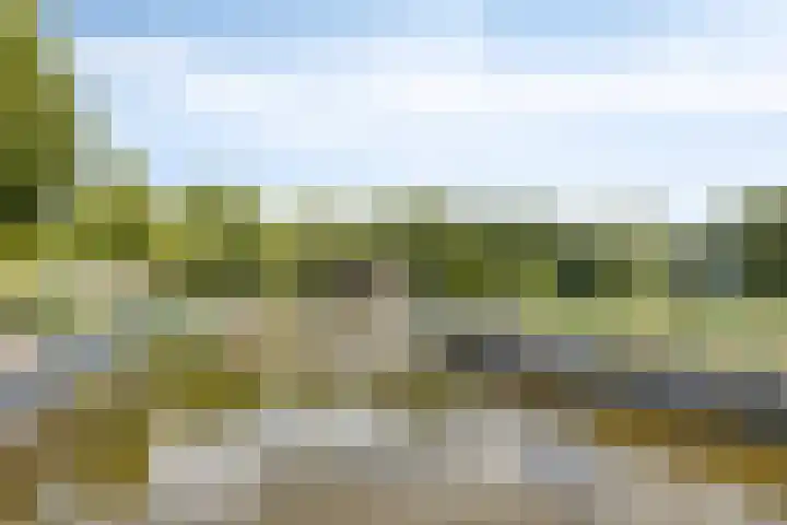 Kamperfoelielaan 3 Oegstgeest thumbnail 35