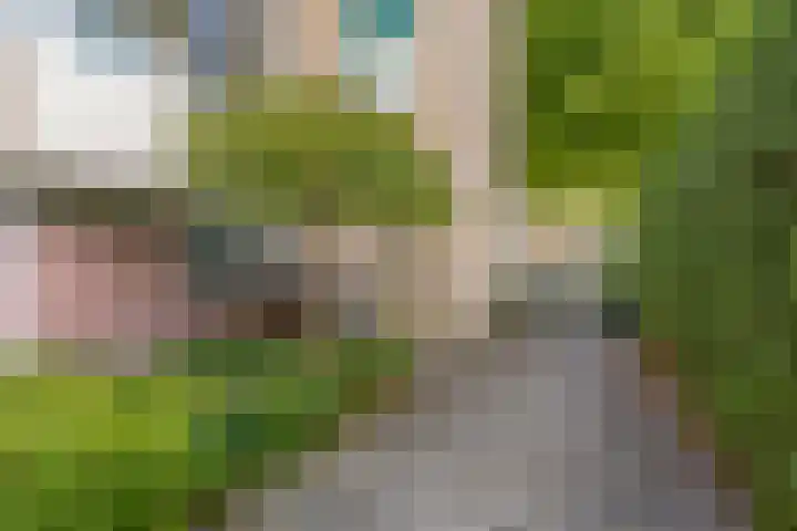 Kamperfoelielaan 3 Oegstgeest thumbnail 8