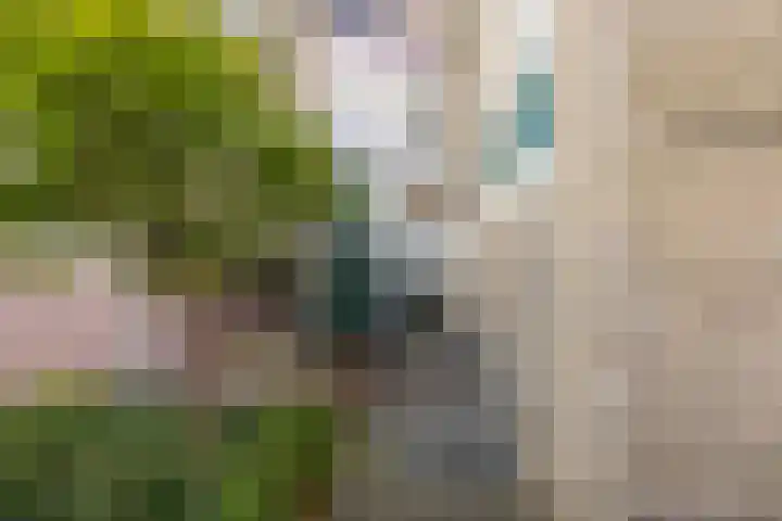 Kamperfoelielaan 3 Oegstgeest thumbnail 9