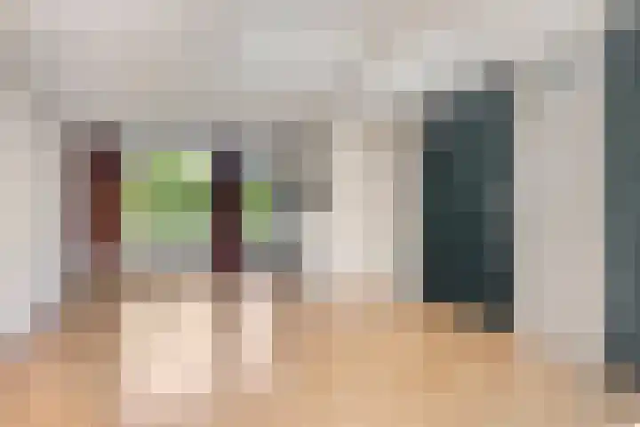 Kamperfoelielaan 31 Swifterbant thumbnail 10