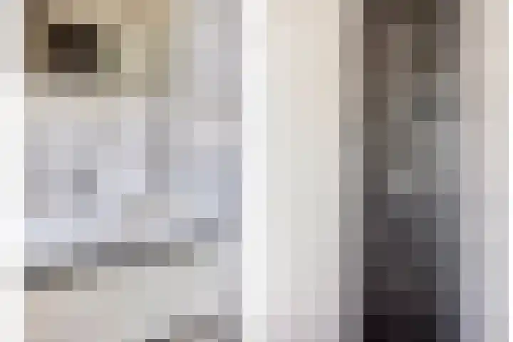 Kamperfoelielaan 31 Swifterbant thumbnail 17