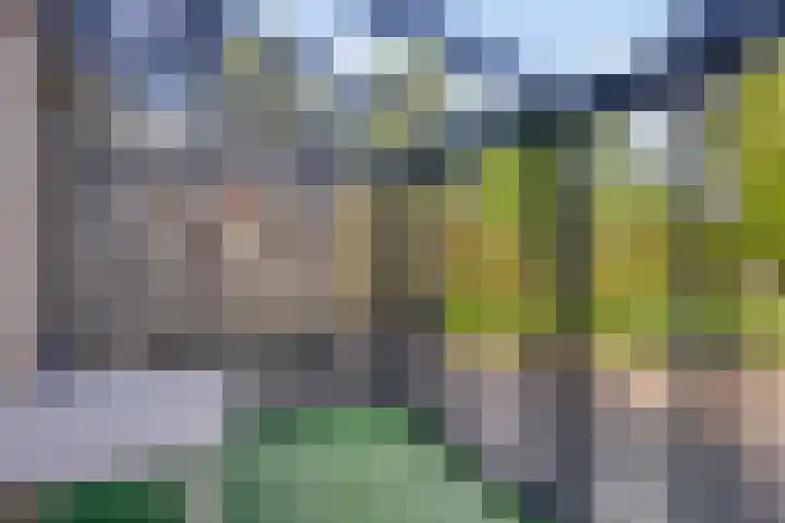Kamperfoelielaan 31 Swifterbant thumbnail 23
