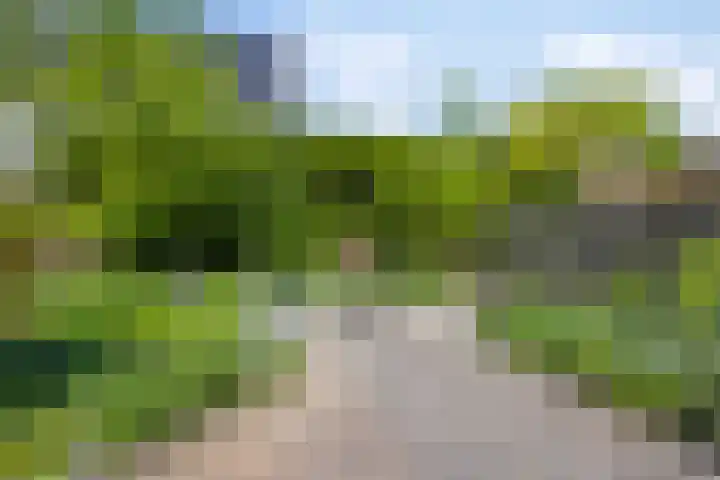 Kamperfoelielaan 31 Swifterbant thumbnail 24