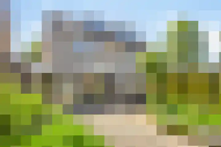 Kamperfoelielaan 31 Swifterbant thumbnail 25