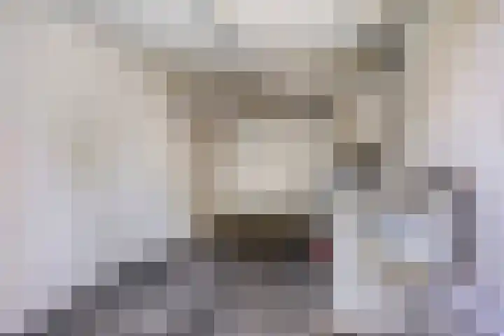 Kamperfoelielaan 31 Swifterbant thumbnail 26