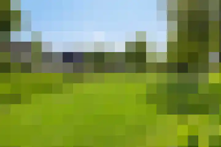 Kamperfoelielaan 31 Swifterbant thumbnail 28