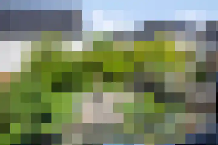 Kamperfoelielaan 31 Swifterbant thumbnail 4