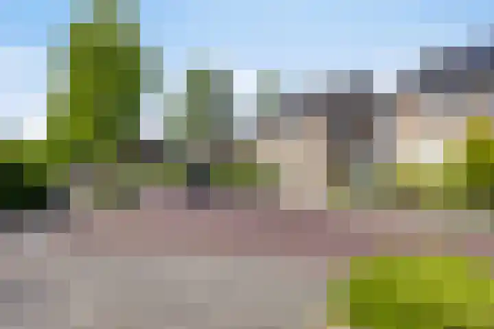 Kamperfoelielaan 31 Swifterbant thumbnail 6