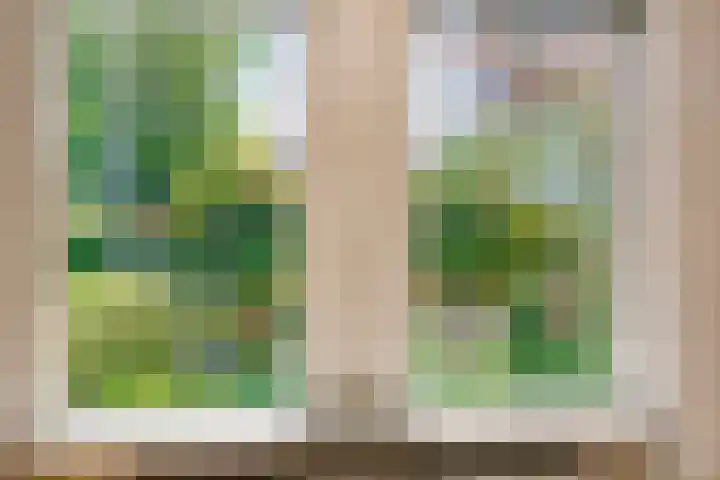 Kamperfoelielaan 31 Swifterbant thumbnail 9