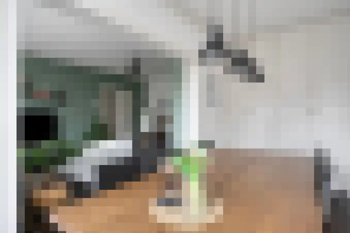 Kamperfoelielaan 33 Oegstgeest thumbnail 12