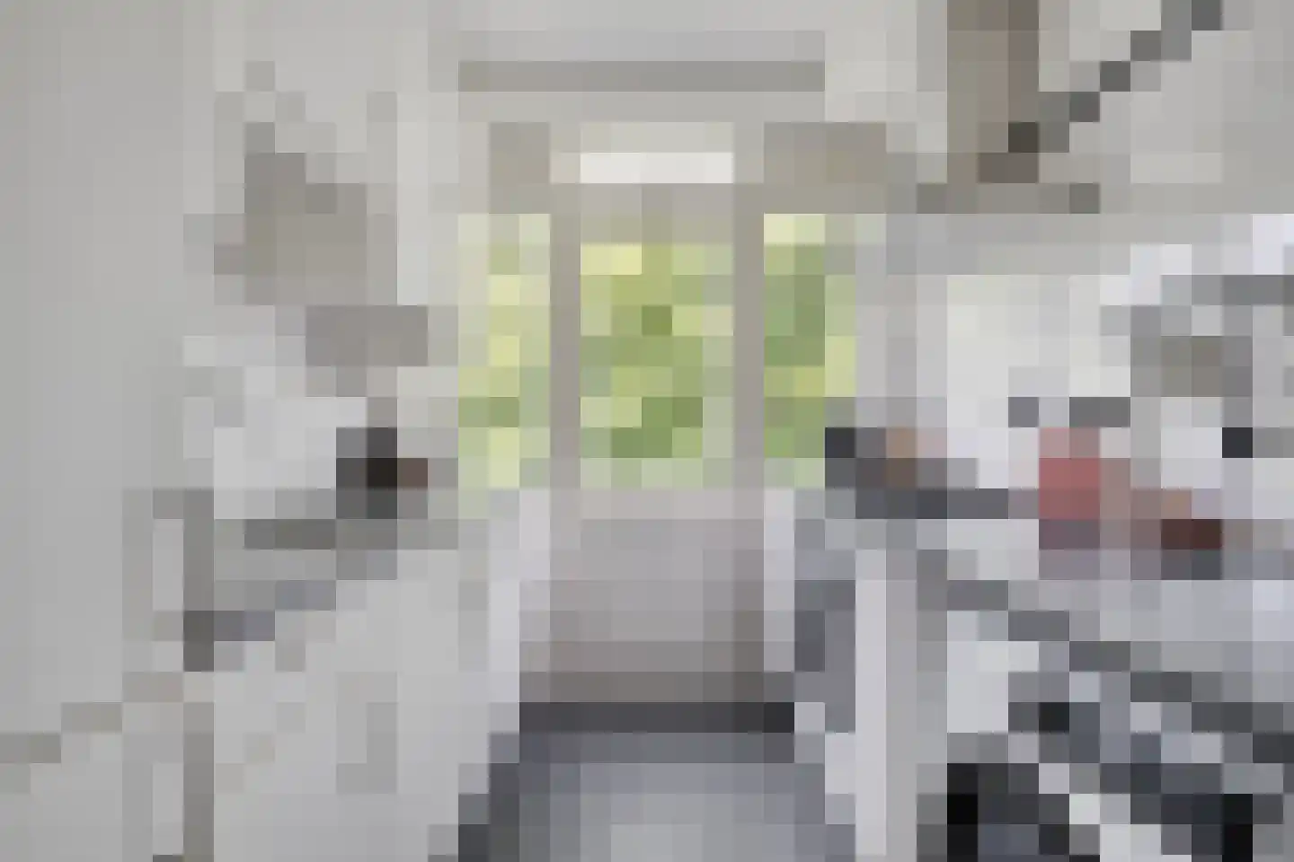 Kamperfoelielaan 33 Oegstgeest thumbnail 13