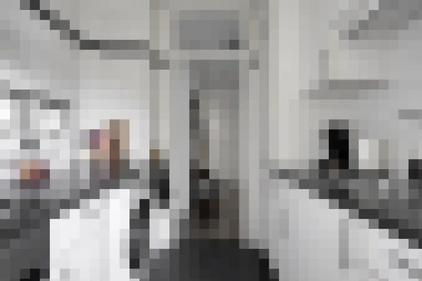 Kamperfoelielaan 33 Oegstgeest thumbnail 14