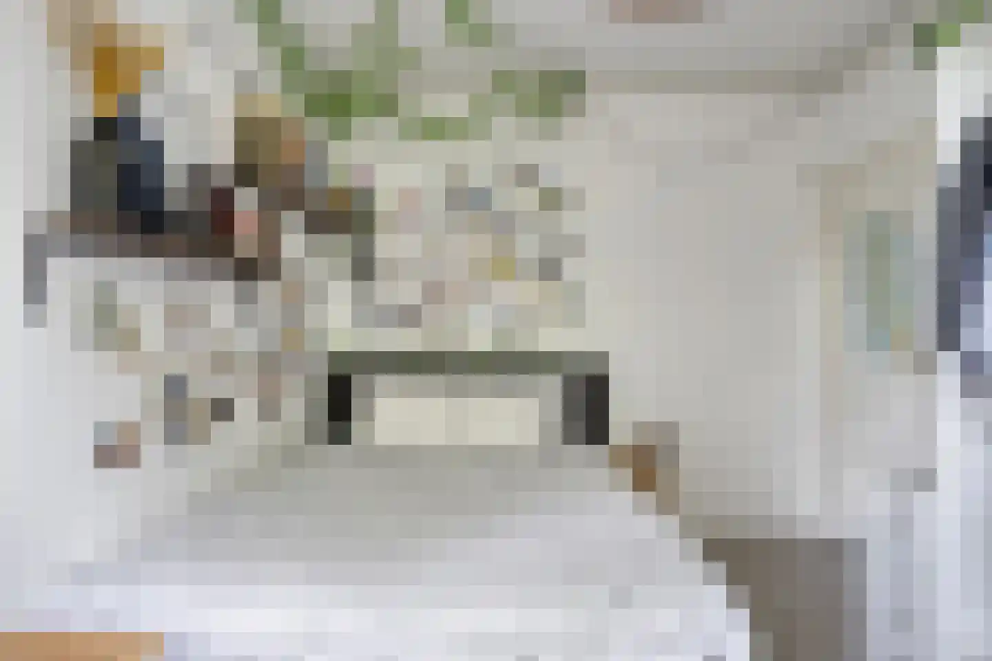 Kamperfoelielaan 33 Oegstgeest thumbnail 4