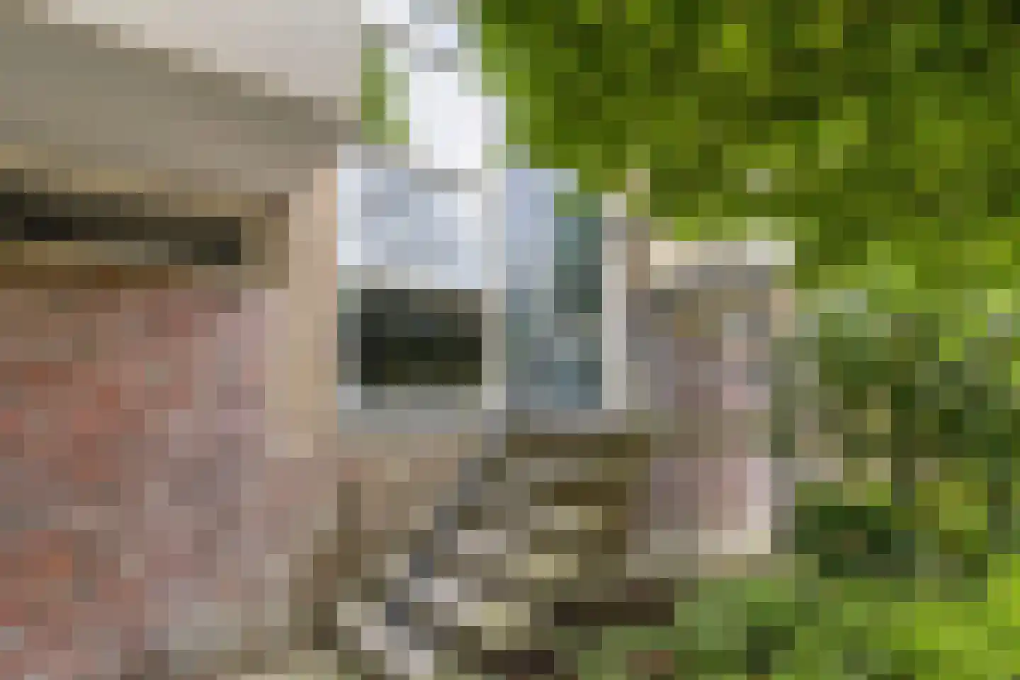 Kamperfoelielaan 33 Oegstgeest thumbnail 7