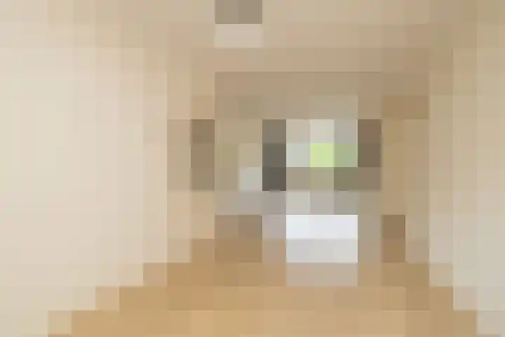 Kamperfoelielaan 37 Oegstgeest thumbnail 11