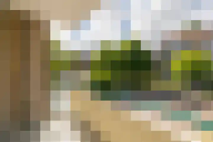 Kamperfoelielaan 37 Oegstgeest thumbnail 15