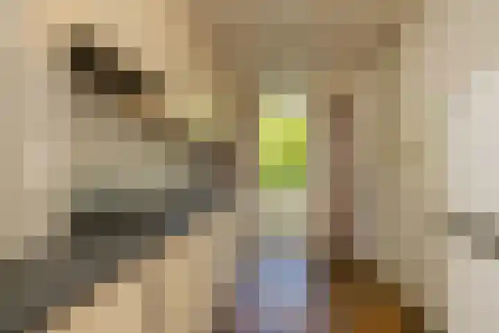 Kamperfoelielaan 37 Oegstgeest thumbnail 23