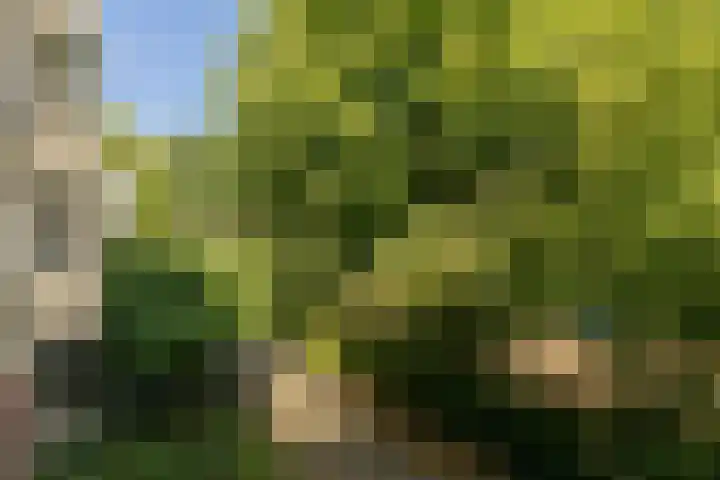 Kamperfoelielaan 37 Oegstgeest thumbnail 24