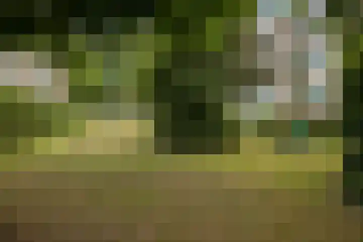 Kamperfoelielaan 37 Oegstgeest thumbnail 25