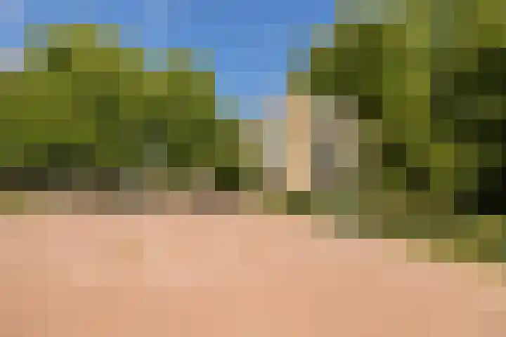 Kamperfoelielaan 37 Oegstgeest thumbnail 26