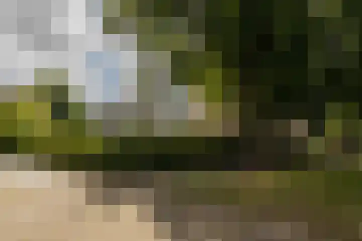 Kamperfoelielaan 37 Oegstgeest thumbnail 29