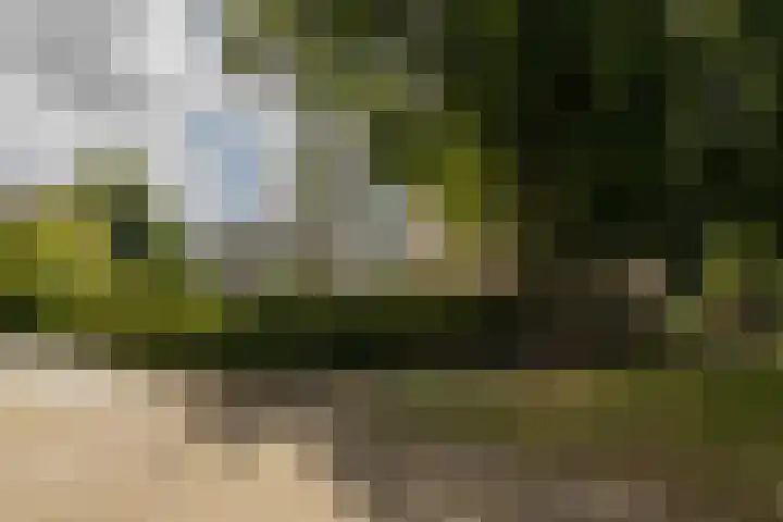 Kamperfoelielaan 37 Oegstgeest thumbnail 5