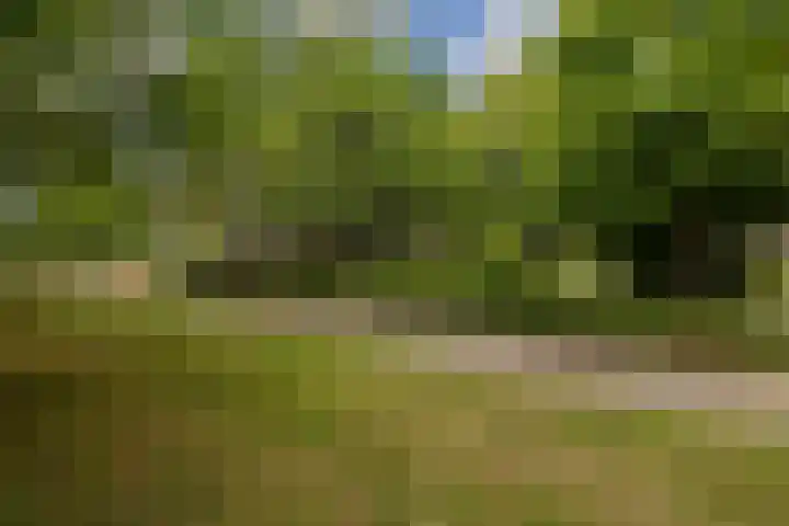 Kamperfoelielaan 37 Oegstgeest thumbnail 7