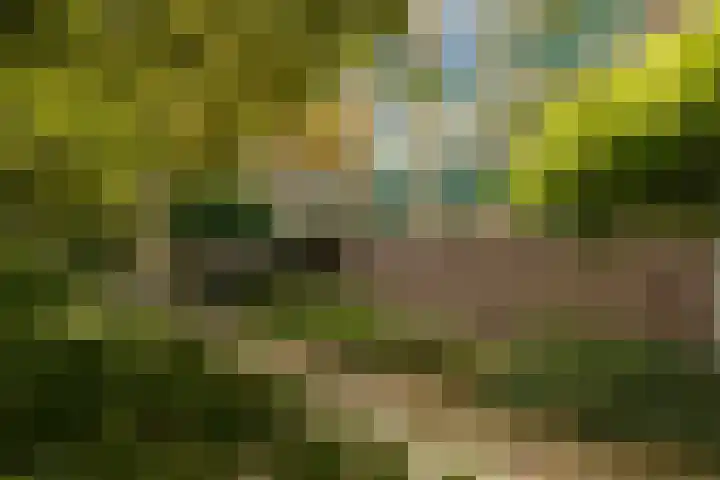 Kamperfoelielaan 37 Oegstgeest thumbnail 8