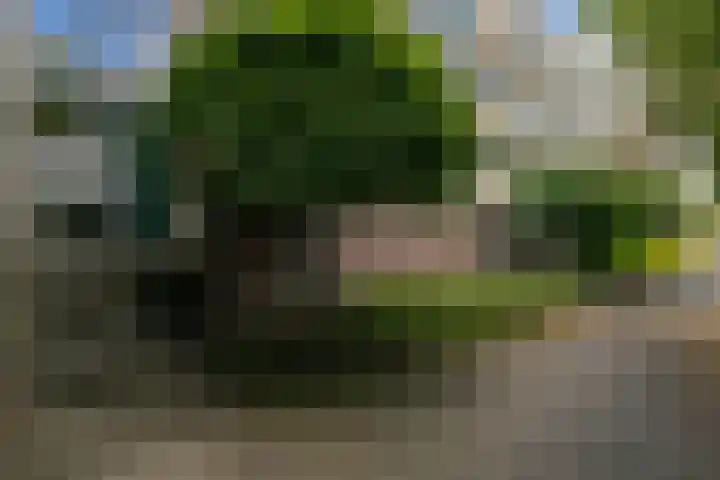 Kamperfoelielaan 37 Oegstgeest thumbnail 9