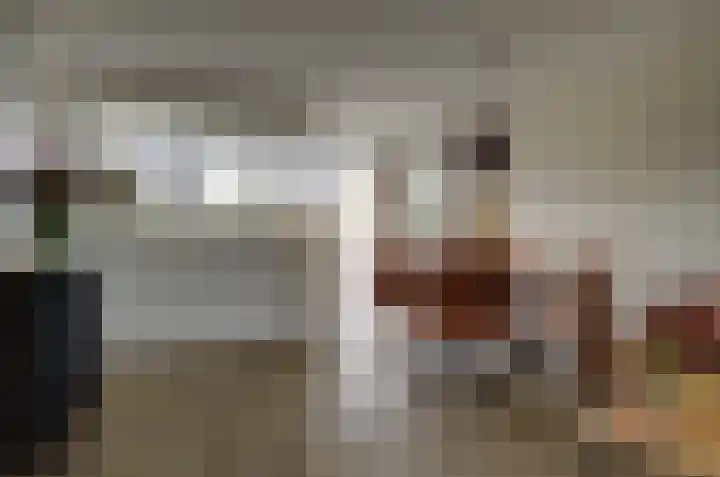 Kamperfoelielaan 37 Swifterbant thumbnail 11