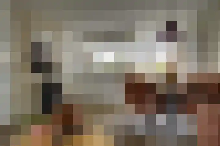 Kamperfoelielaan 37 Swifterbant thumbnail 12