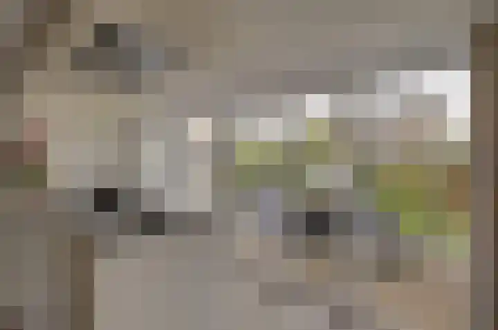 Kamperfoelielaan 37 Swifterbant thumbnail 13