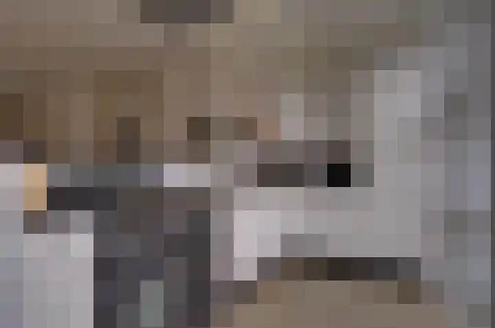 Kamperfoelielaan 37 Swifterbant thumbnail 14