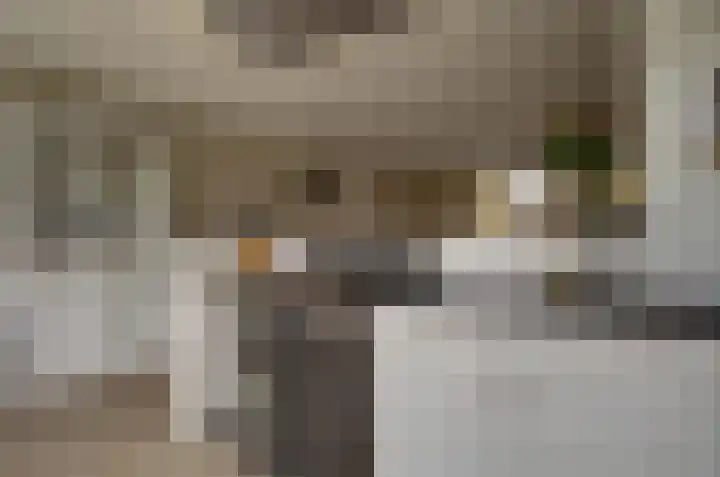 Kamperfoelielaan 37 Swifterbant thumbnail 15