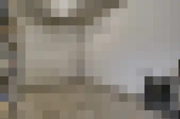 Kamperfoelielaan 37 Swifterbant thumbnail 17