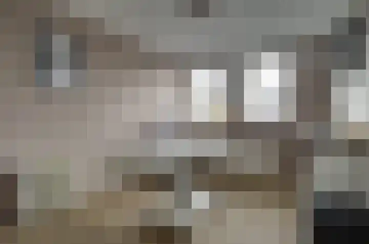 Kamperfoelielaan 37 Swifterbant thumbnail 18